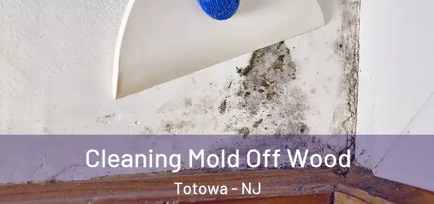 Cleaning Mold Off Wood Totowa - NJ