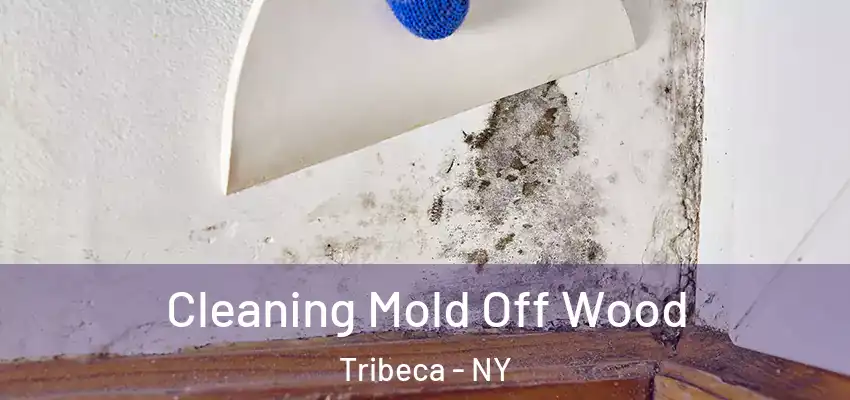 Cleaning Mold Off Wood Tribeca - NY