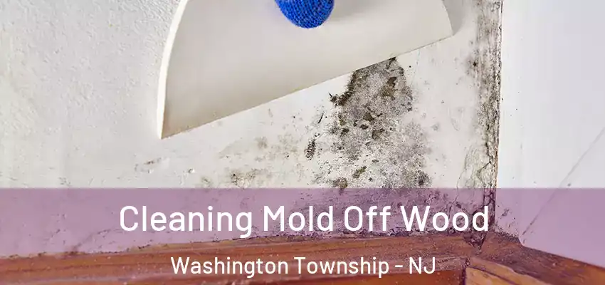 Cleaning Mold Off Wood Washington Township - NJ