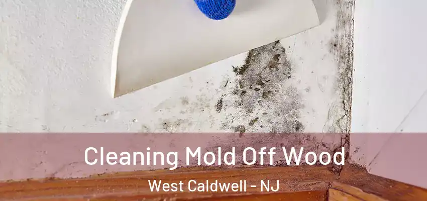 Cleaning Mold Off Wood West Caldwell - NJ
