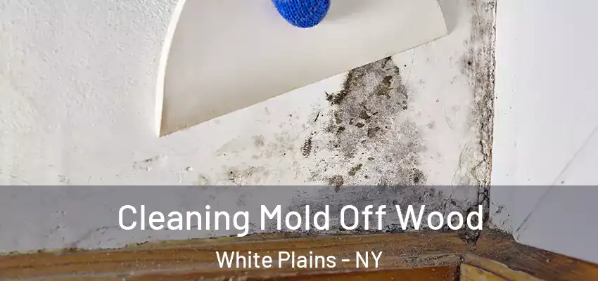Cleaning Mold Off Wood White Plains - NY
