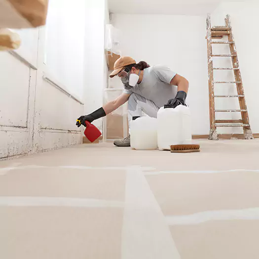 Reliable Mold Stain Remover Specialists in Cornwall, NY