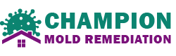 Champion Mold Remediation