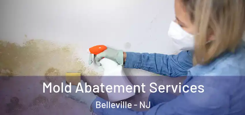 Mold Abatement Services Belleville - NJ
