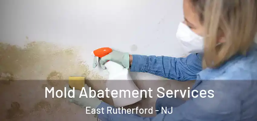  Mold Abatement Services East Rutherford - NJ