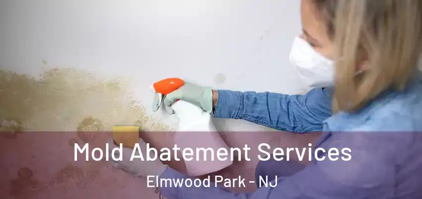  Mold Abatement Services Elmwood Park - NJ