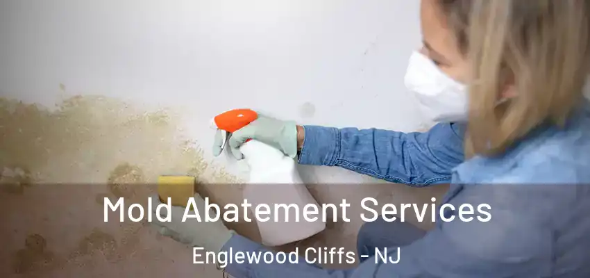 Mold Abatement Services Englewood Cliffs - NJ