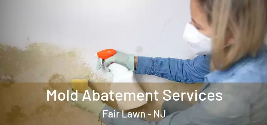 Mold Abatement Services Fair Lawn - NJ