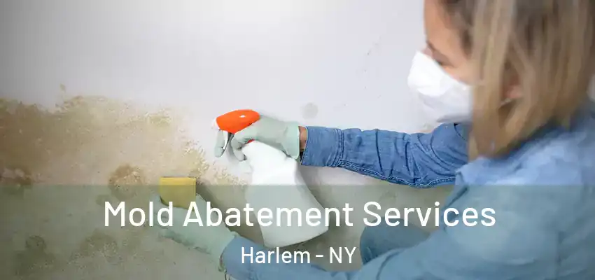  Mold Abatement Services Harlem - NY