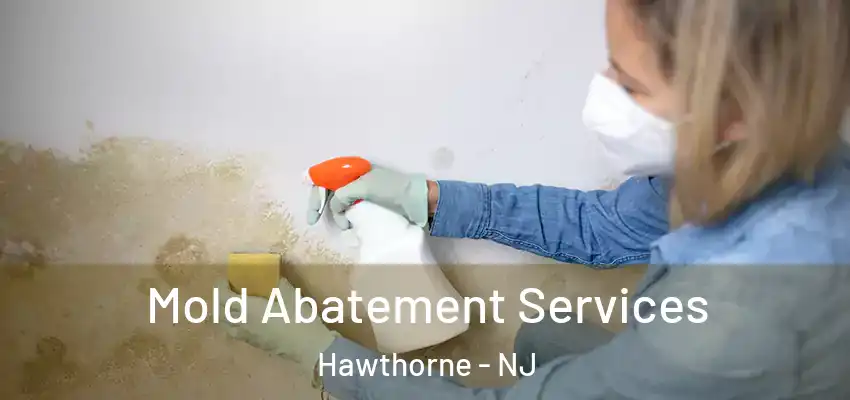 Mold Abatement Services Hawthorne - NJ
