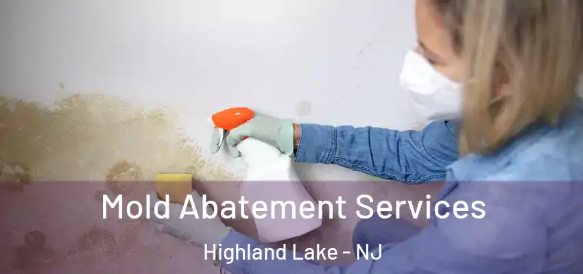Mold Abatement Services Highland Lake - NJ