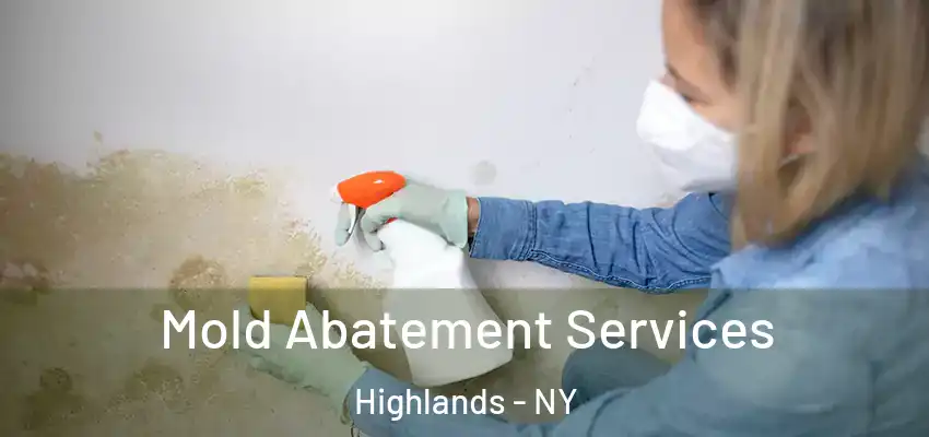 Mold Abatement Services Highlands - NY