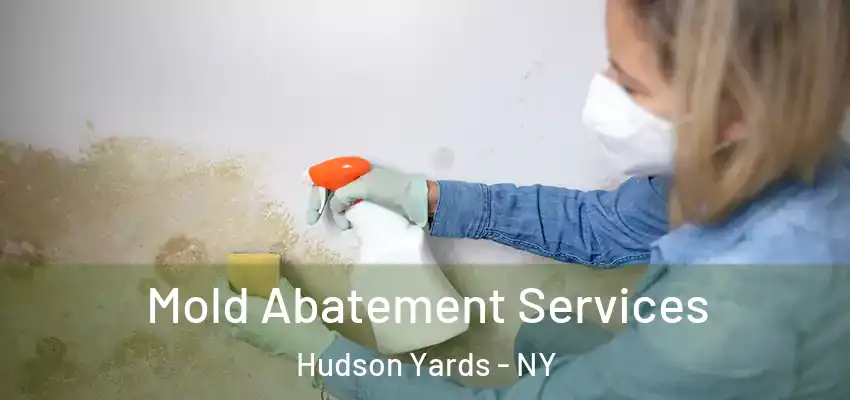  Mold Abatement Services Hudson Yards - NY