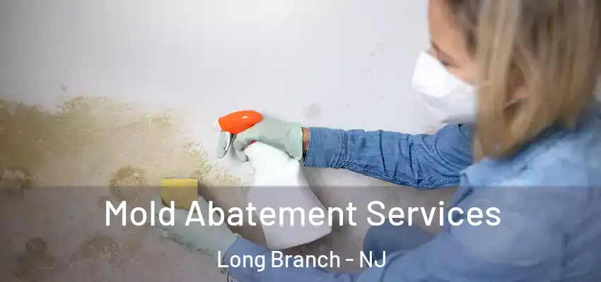  Mold Abatement Services Long Branch - NJ