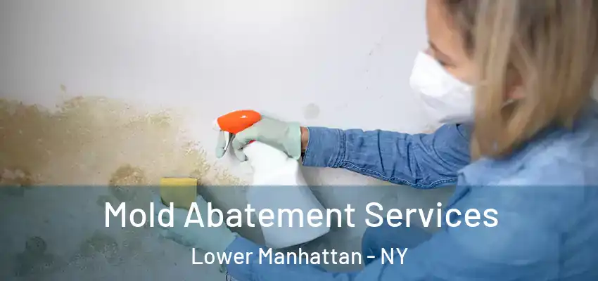Mold Abatement Services Lower Manhattan - NY