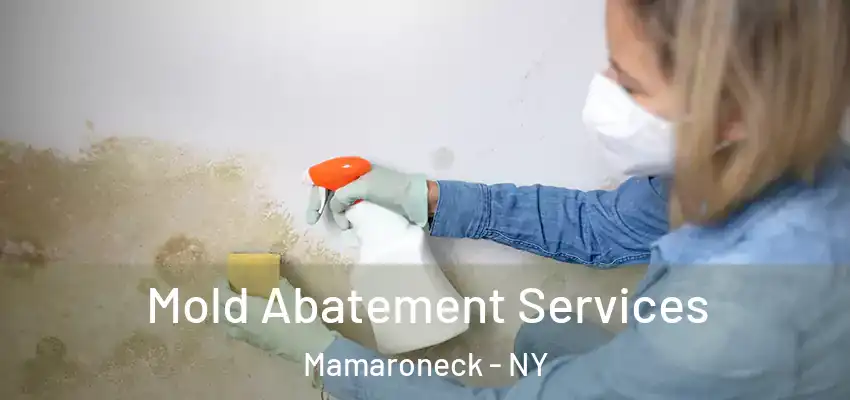  Mold Abatement Services Mamaroneck - NY