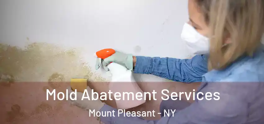  Mold Abatement Services Mount Pleasant - NY