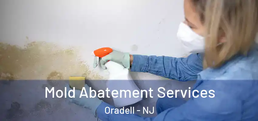  Mold Abatement Services Oradell - NJ