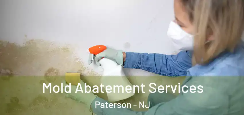 Mold Abatement Services Paterson - NJ