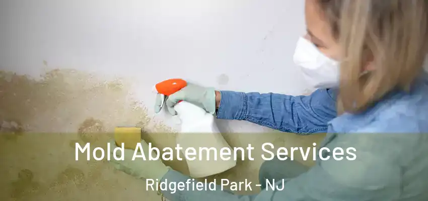 Mold Abatement Services Ridgefield Park - NJ