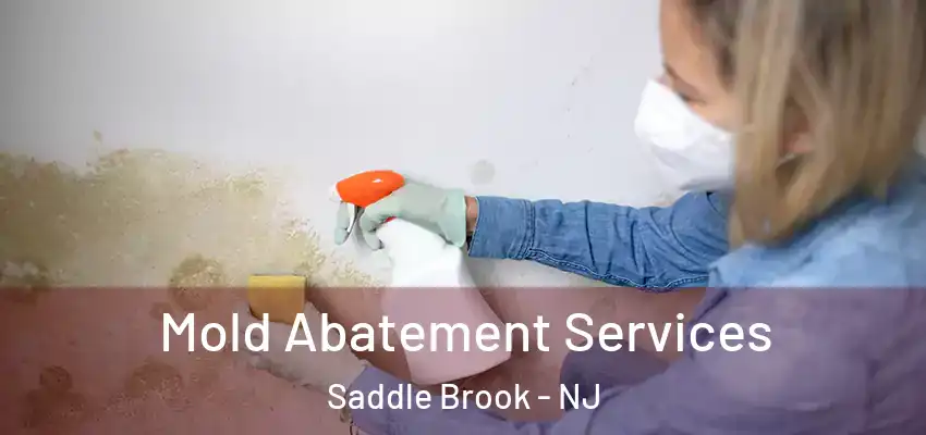  Mold Abatement Services Saddle Brook - NJ