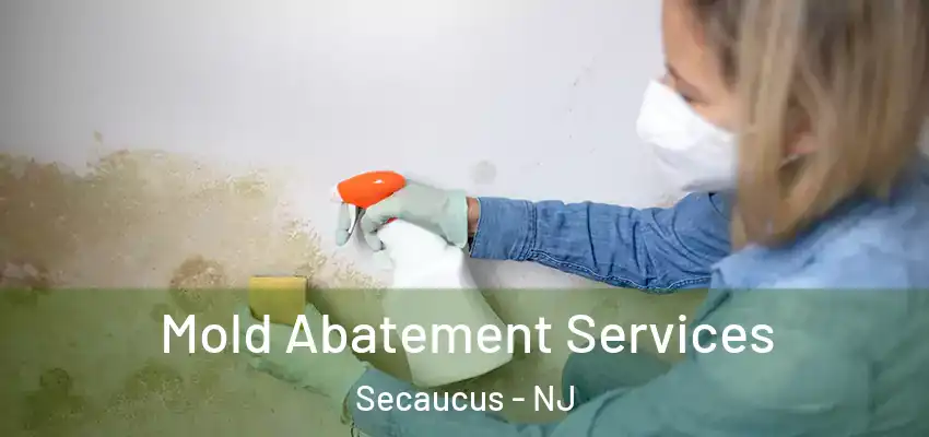  Mold Abatement Services Secaucus - NJ