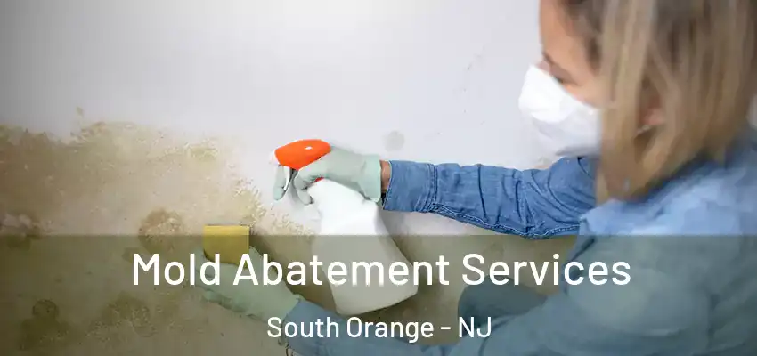 Mold Abatement Services South Orange - NJ