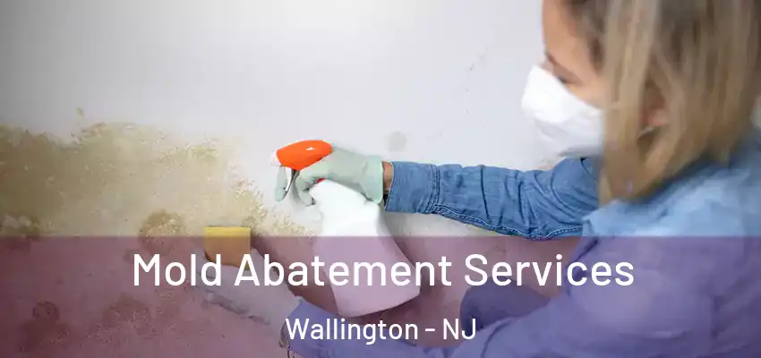  Mold Abatement Services Wallington - NJ