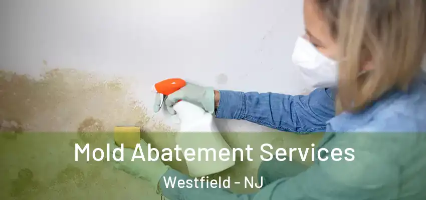  Mold Abatement Services Westfield - NJ