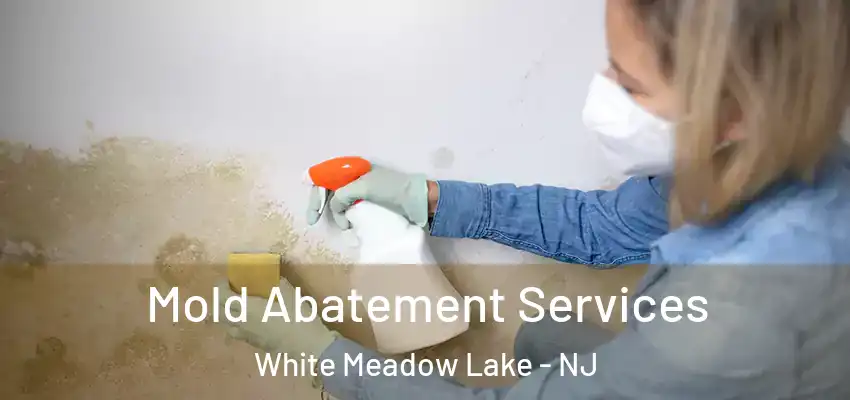  Mold Abatement Services White Meadow Lake - NJ