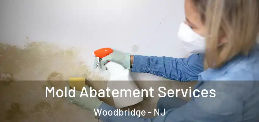  Mold Abatement Services Woodbridge - NJ