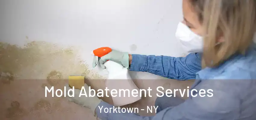 Mold Abatement Services Yorktown - NY