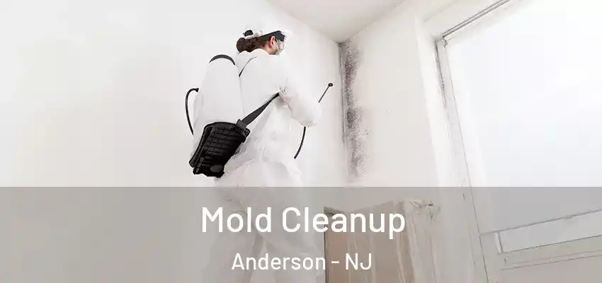 Mold Cleanup Anderson - NJ