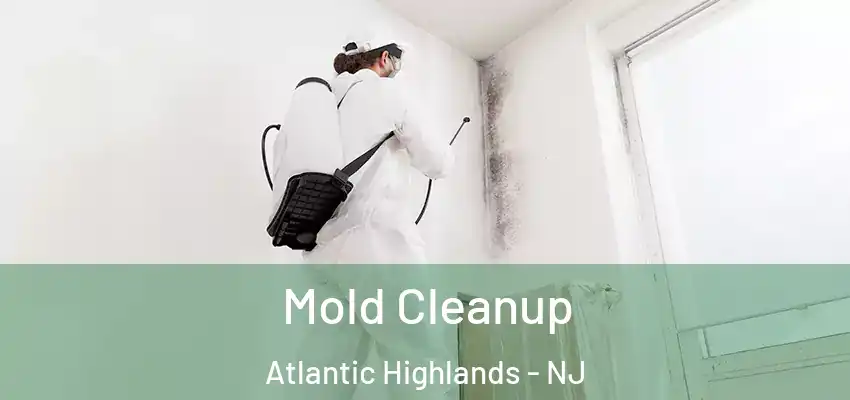 Mold Cleanup Atlantic Highlands - NJ