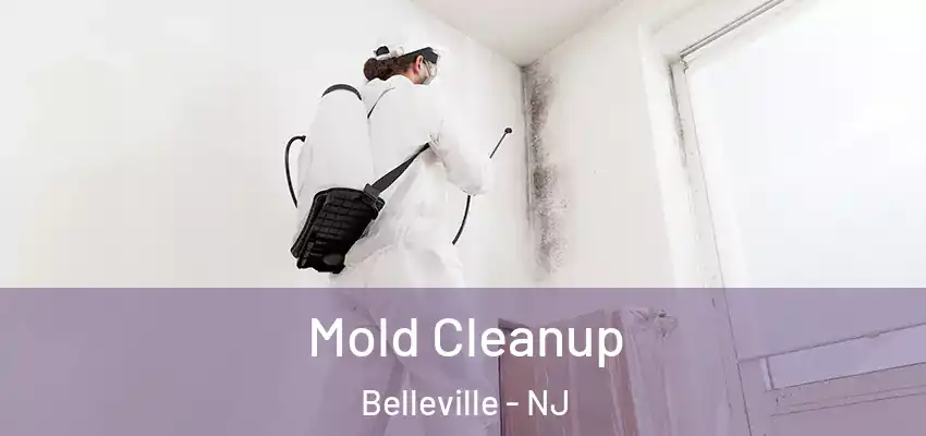  Mold Cleanup Belleville - NJ