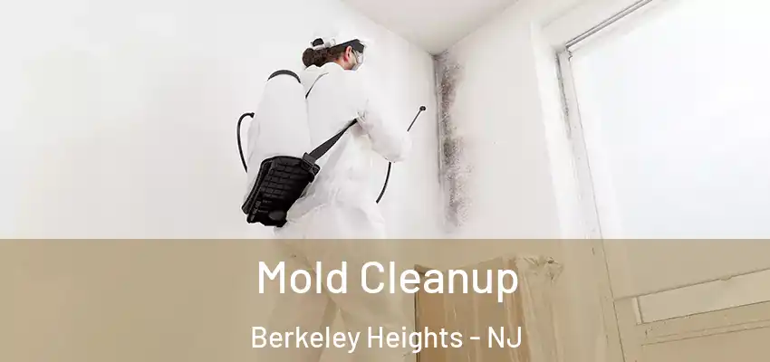  Mold Cleanup Berkeley Heights - NJ