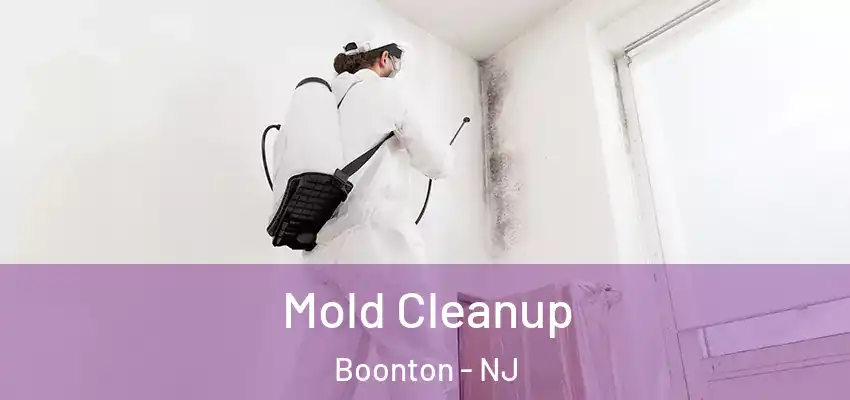  Mold Cleanup Boonton - NJ