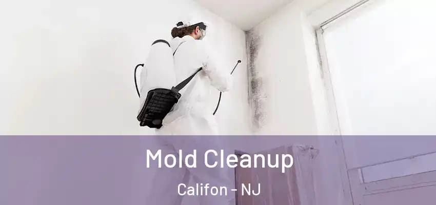  Mold Cleanup Califon - NJ