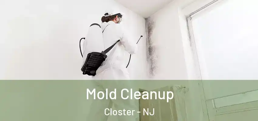 Mold Cleanup Closter - NJ