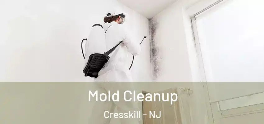 Mold Cleanup Cresskill - NJ
