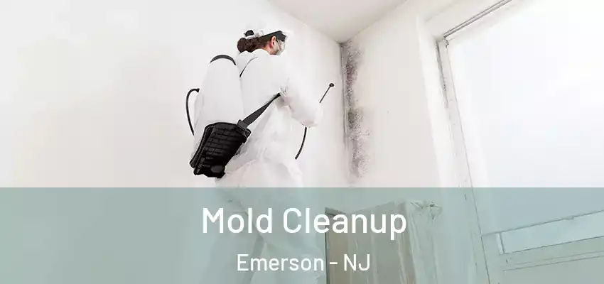  Mold Cleanup Emerson - NJ