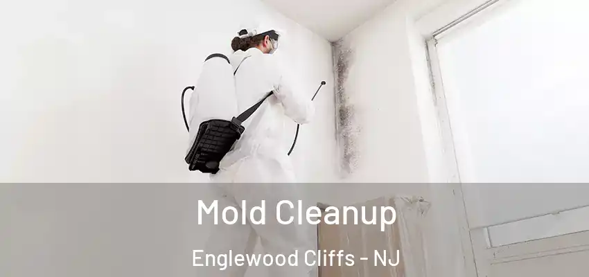 Mold Cleanup Englewood Cliffs - NJ