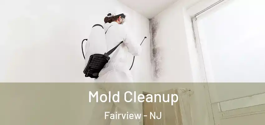 Mold Cleanup Fairview - NJ
