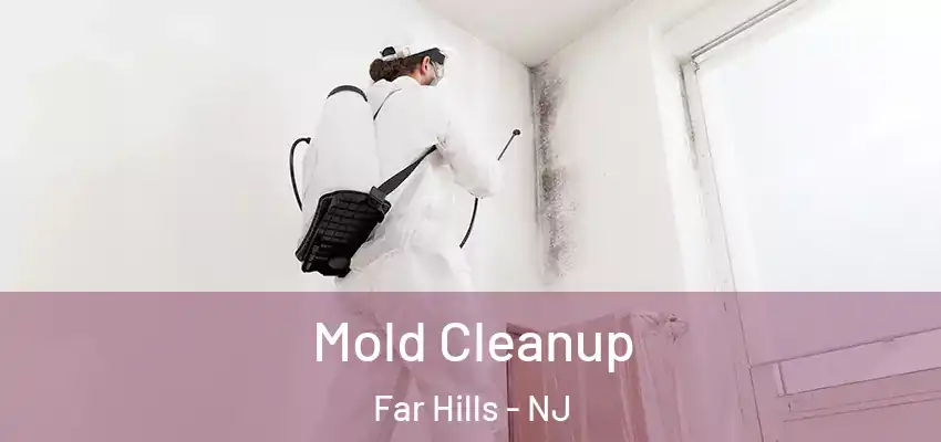 Mold Cleanup Far Hills - NJ