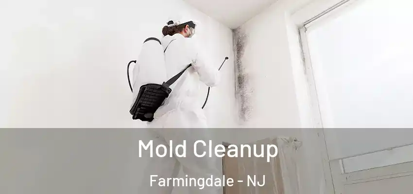  Mold Cleanup Farmingdale - NJ