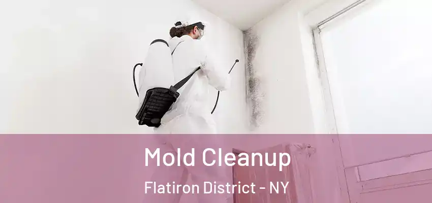 Mold Cleanup Flatiron District - NY