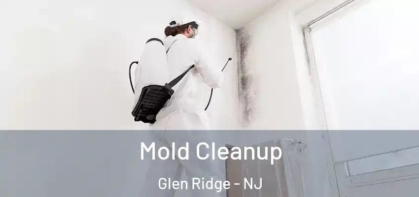  Mold Cleanup Glen Ridge - NJ