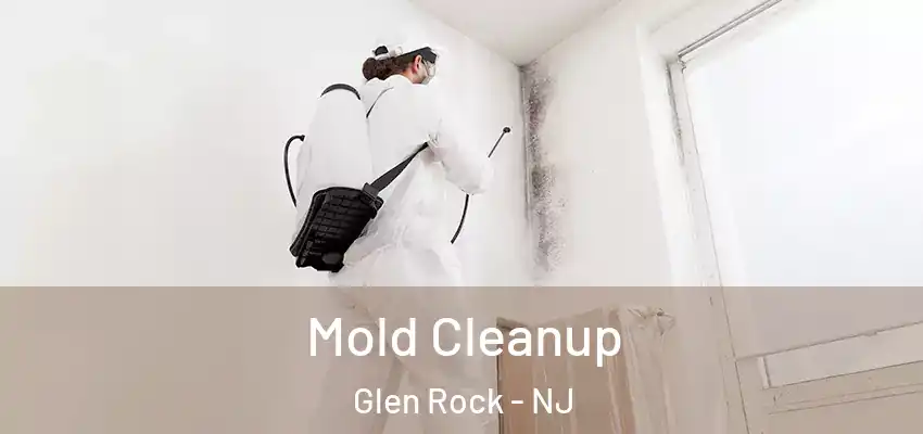  Mold Cleanup Glen Rock - NJ