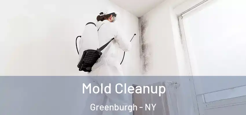 Mold Cleanup Greenburgh - NY