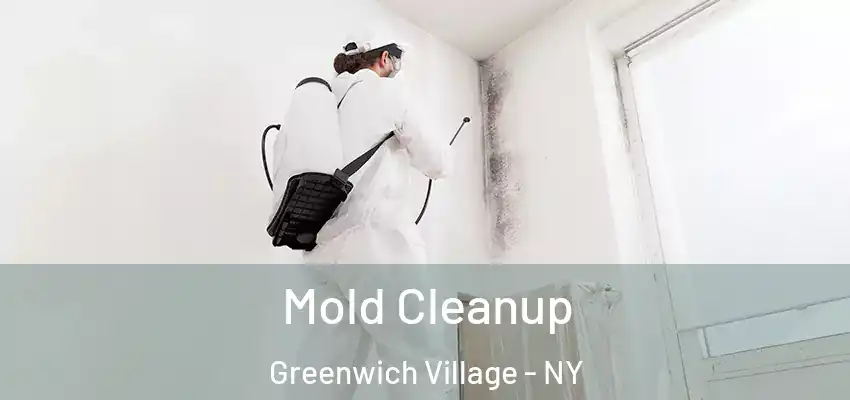  Mold Cleanup Greenwich Village - NY